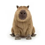 Clyde Capybara