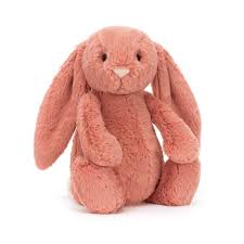 Bashful Sorrel Bunny