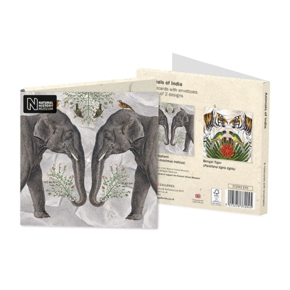 Square Notecard Wallet - Animals Of India