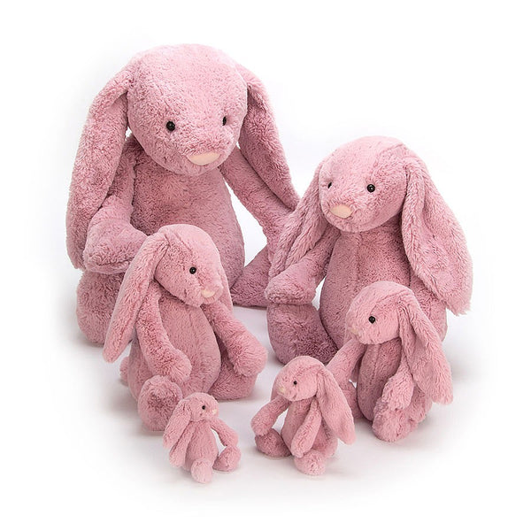 Bashful Tulip Bunny