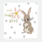 Baby Girl Rabbit