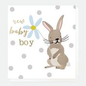 Baby Boy Rabbit