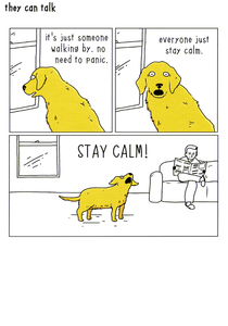 Dog - Stay calm