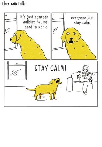Dog - Stay calm